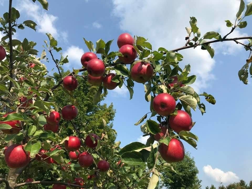 264b9db3 5271 4230 8bbb d3ba1126cc52